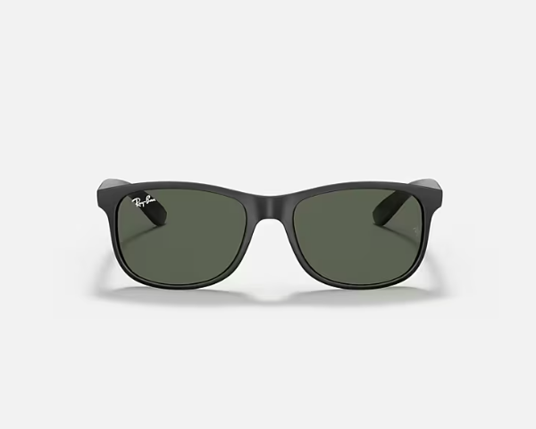 Ray-Ban Andy Black-Crystal Sunglasses