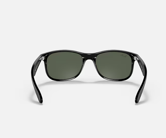 Ray-Ban Andy Black-Crystal Sunglasses